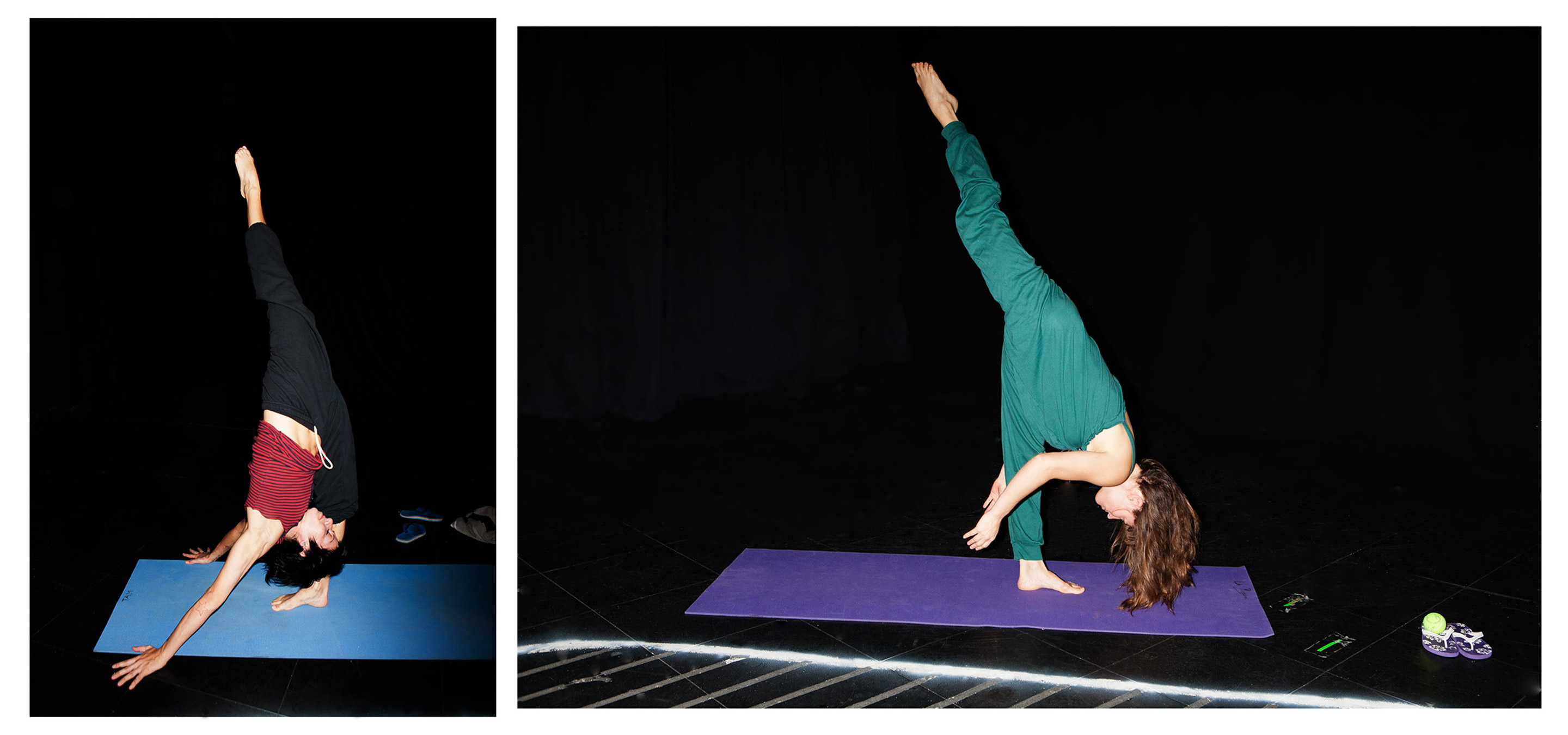 11-_MG_1697dyptych