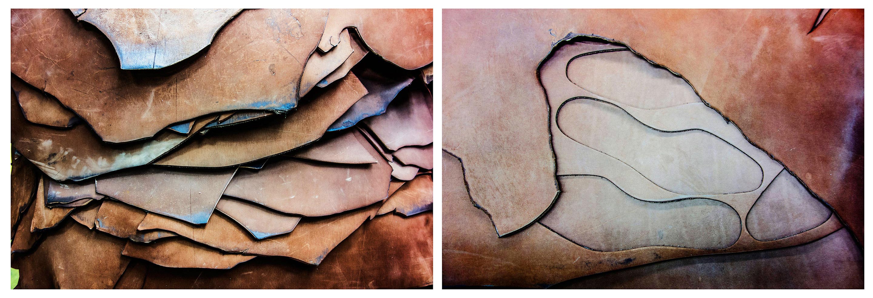 4-_DSC4290diptych